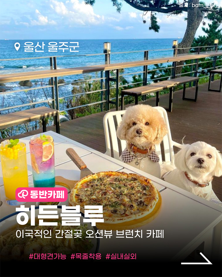 히든블루