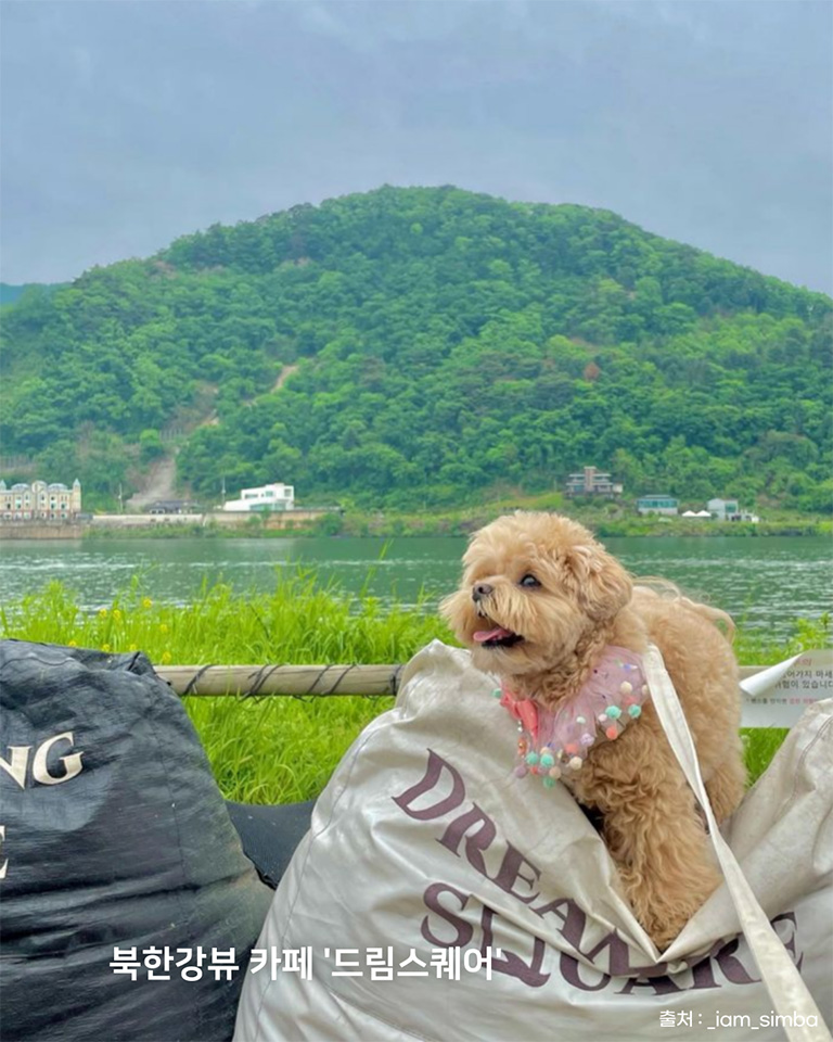 더드림핑 글램핑