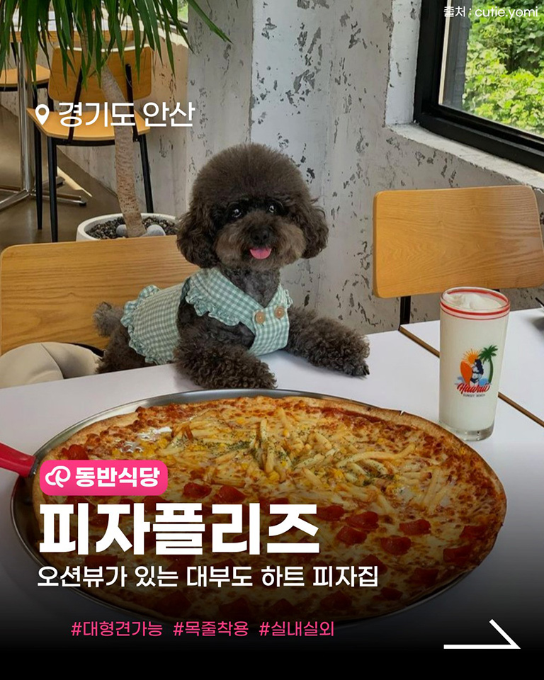 피자플리즈