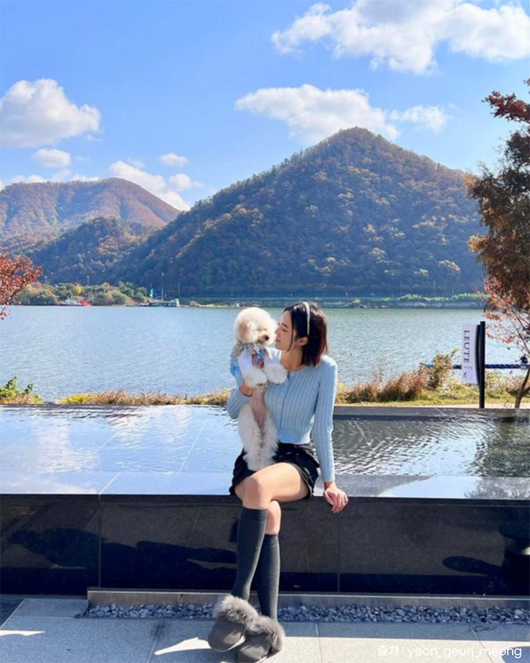 로이테