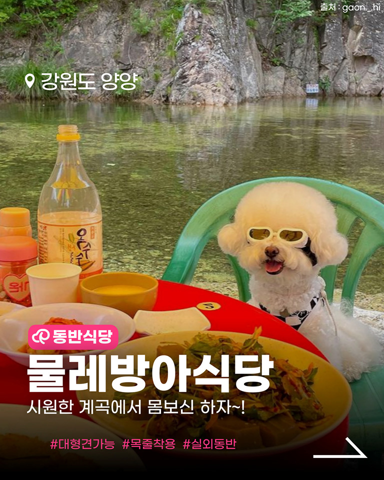 물레방아식당