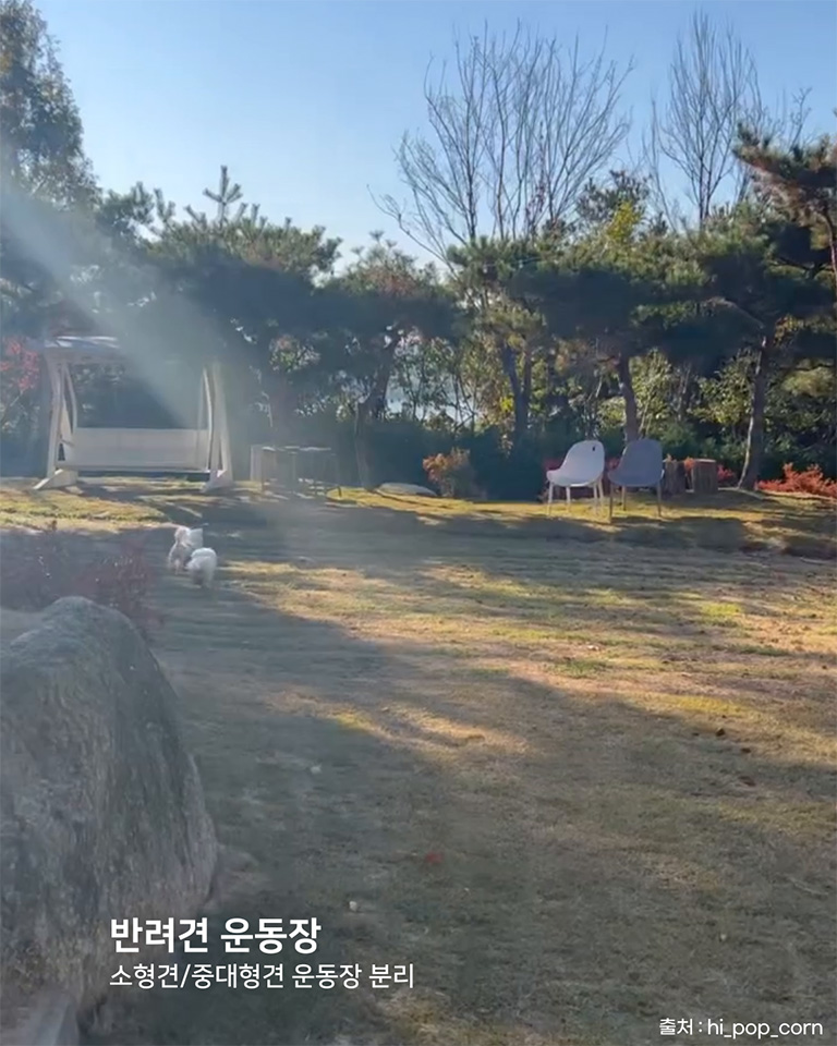 카페스토리
