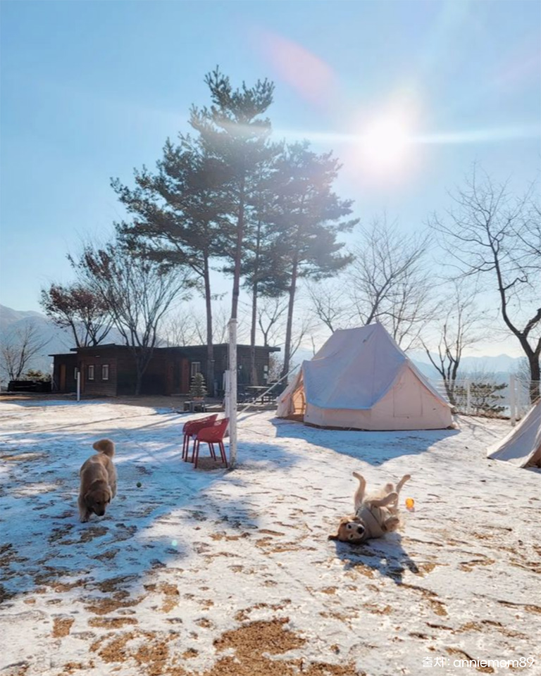 카페스토리