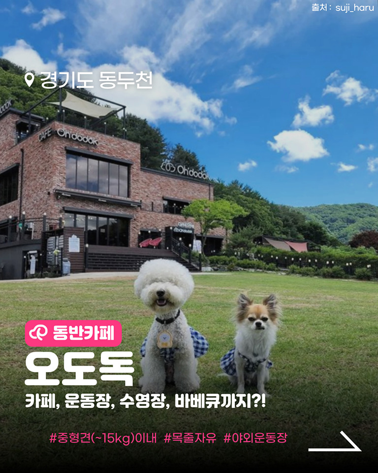 오도독