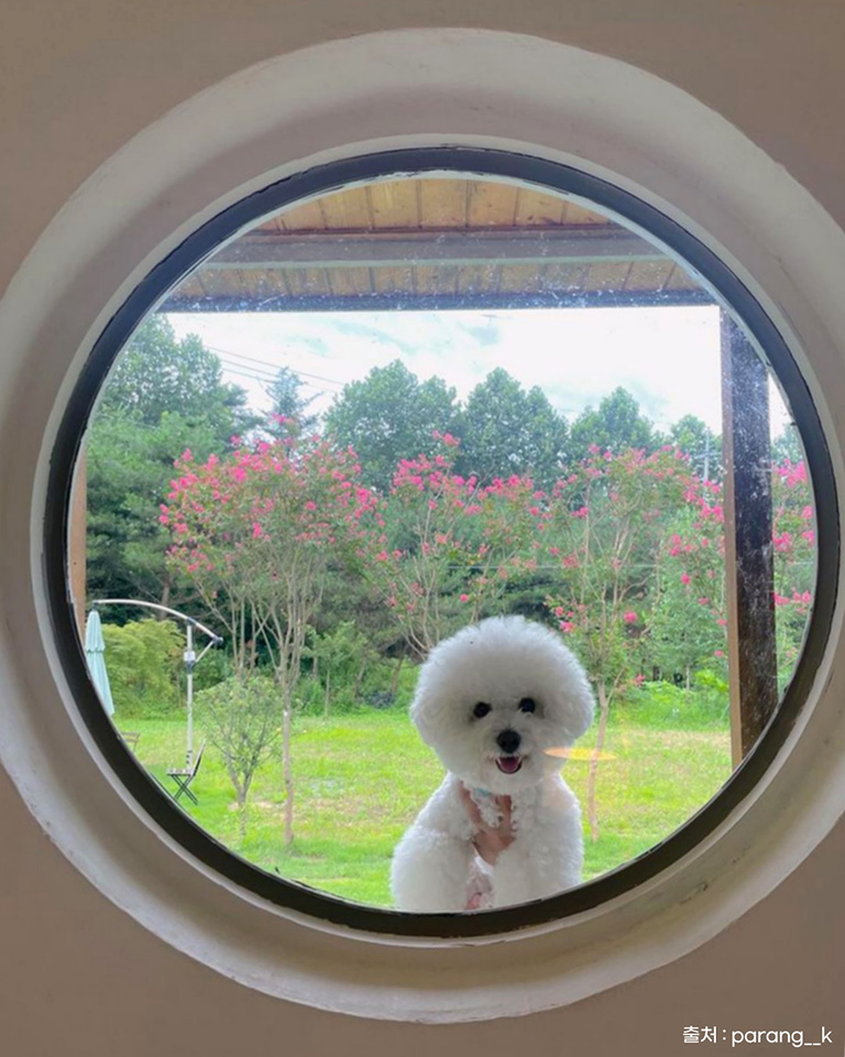카페 여주