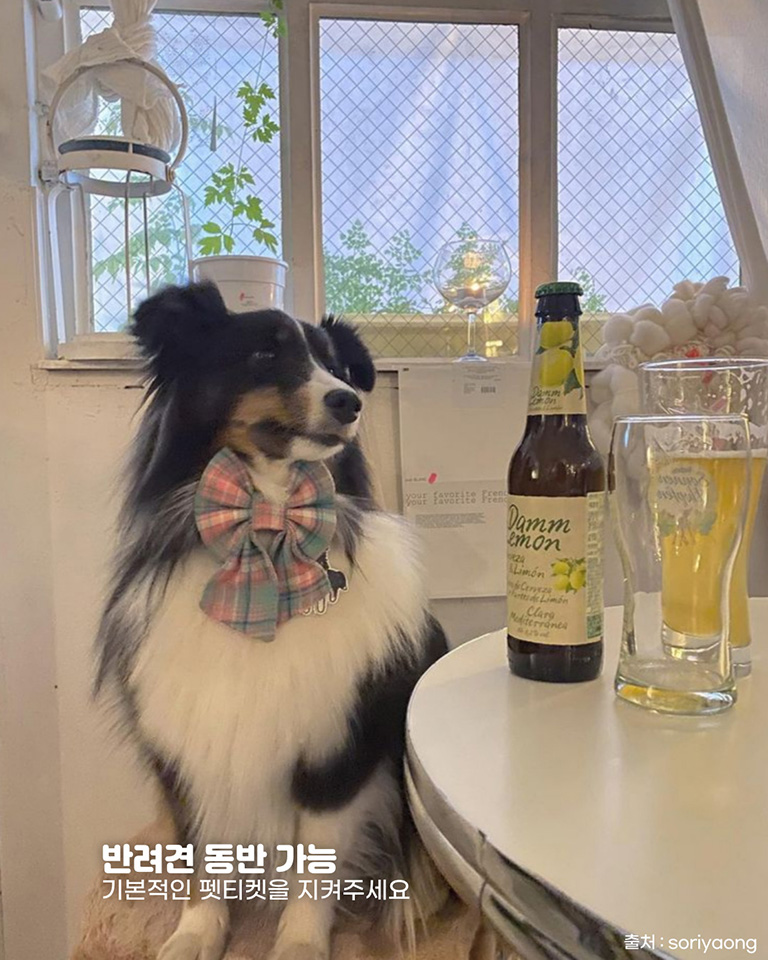 펍블랑