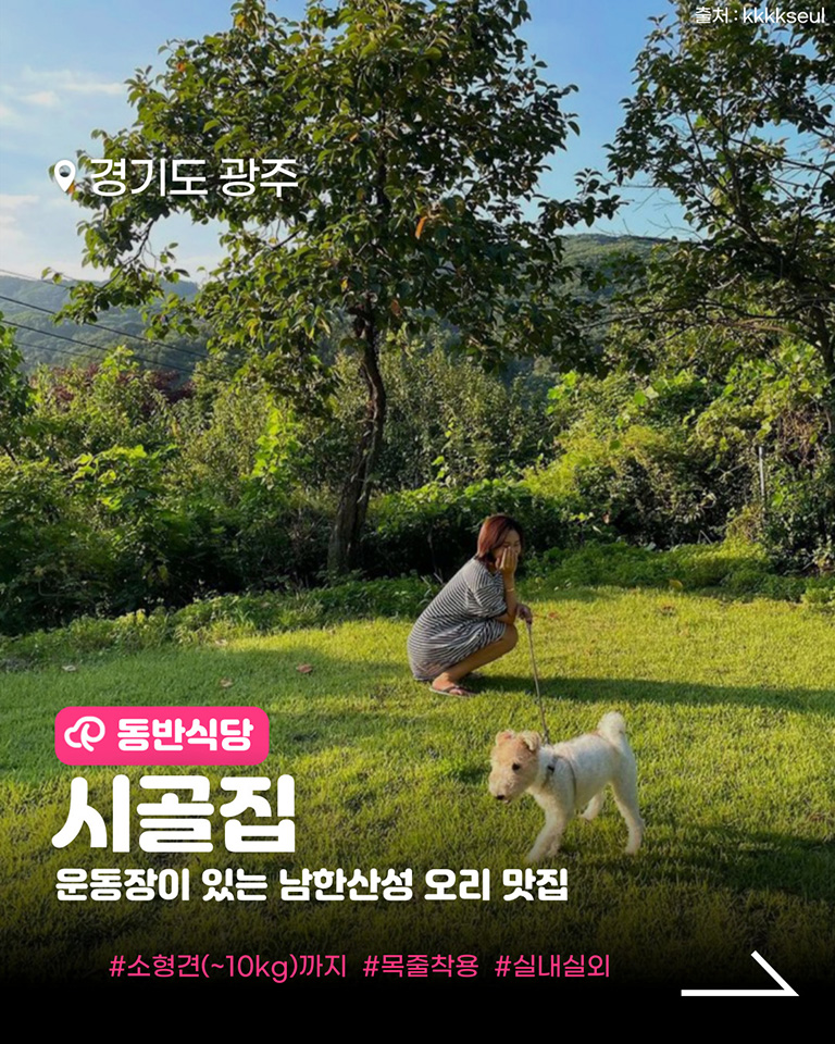 시골집
