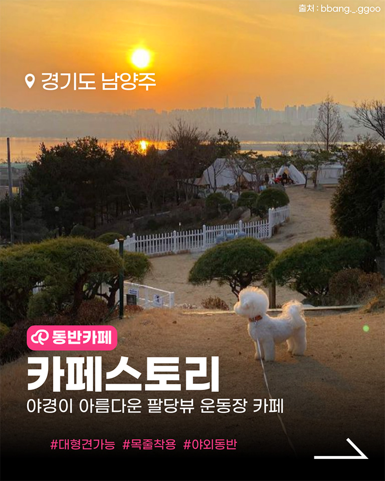 카페스토리
