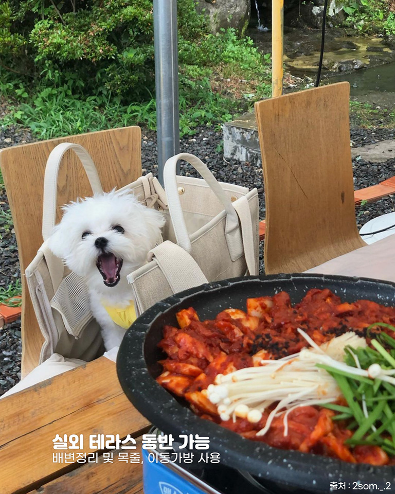 약수터산장