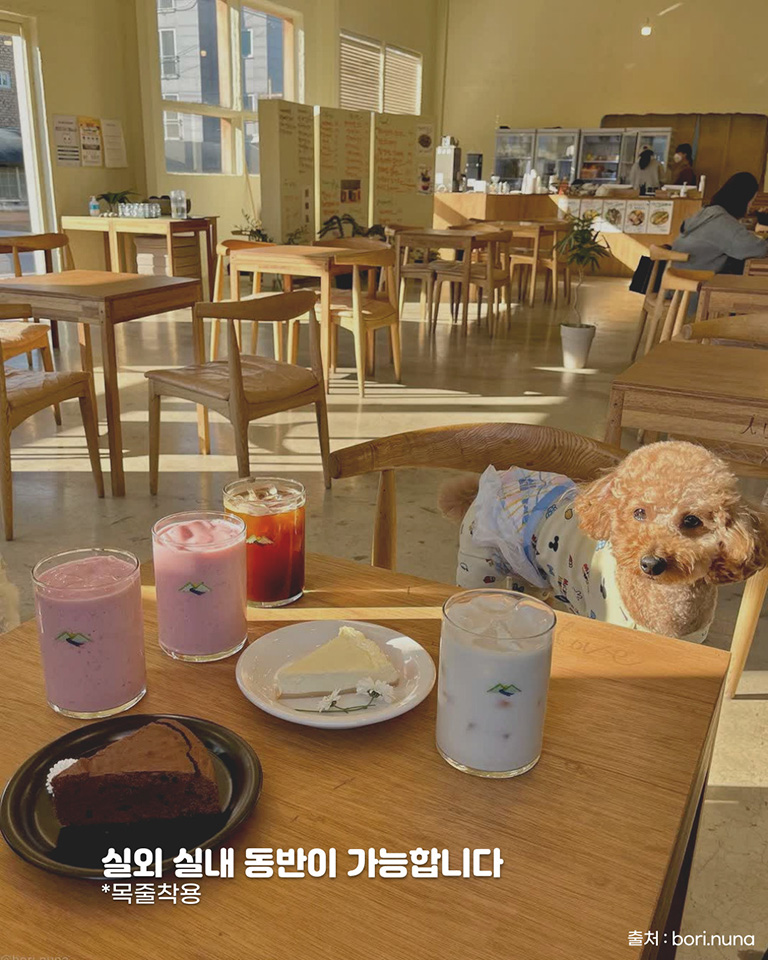 아이라이크마운틴