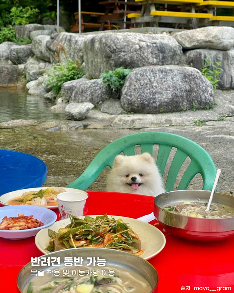 물레방아식당