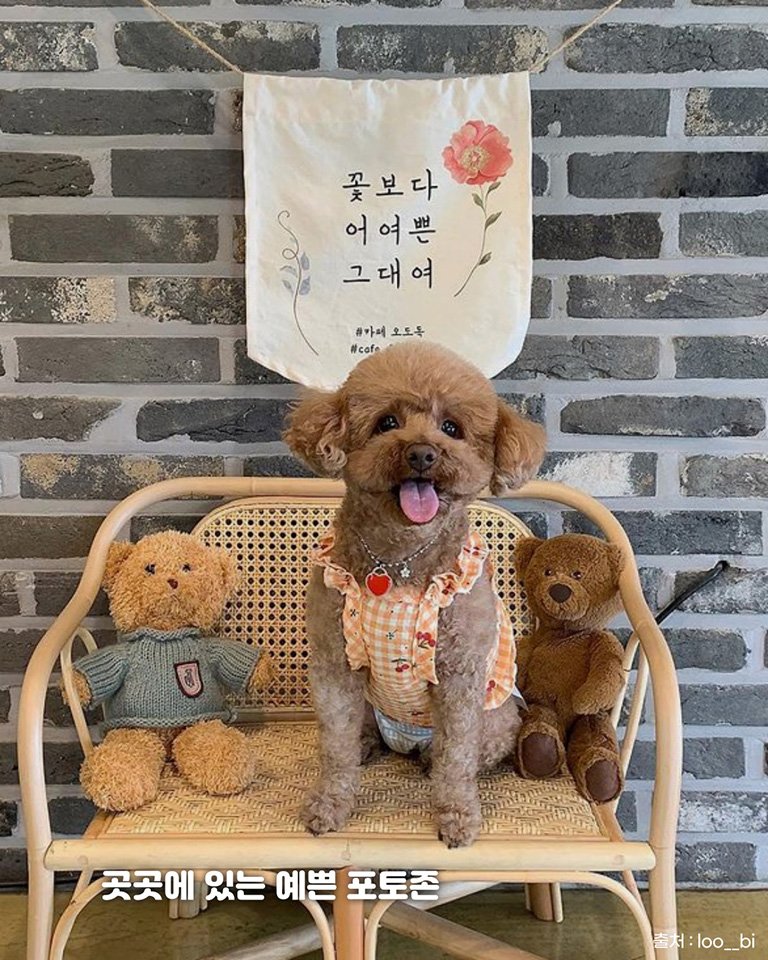 오도독