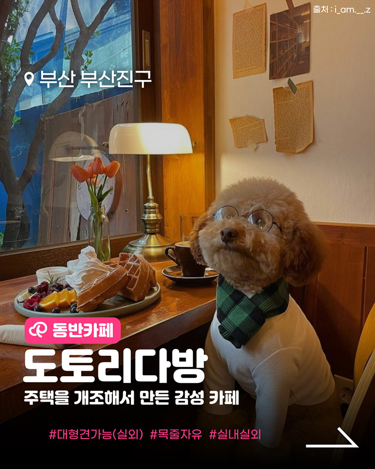 도토리다방