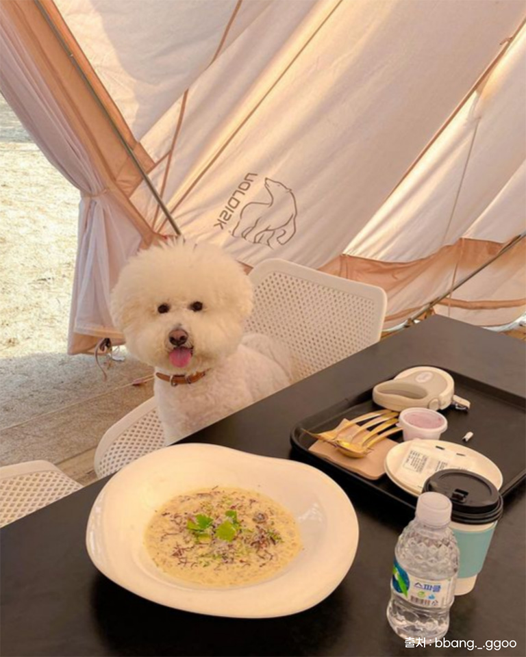 카페스토리