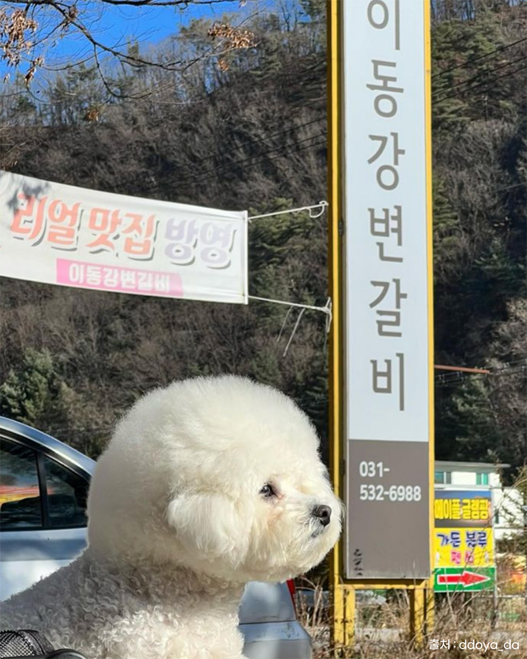 이동강변갈비