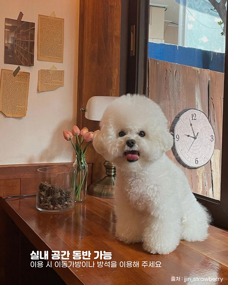 도토리다방
