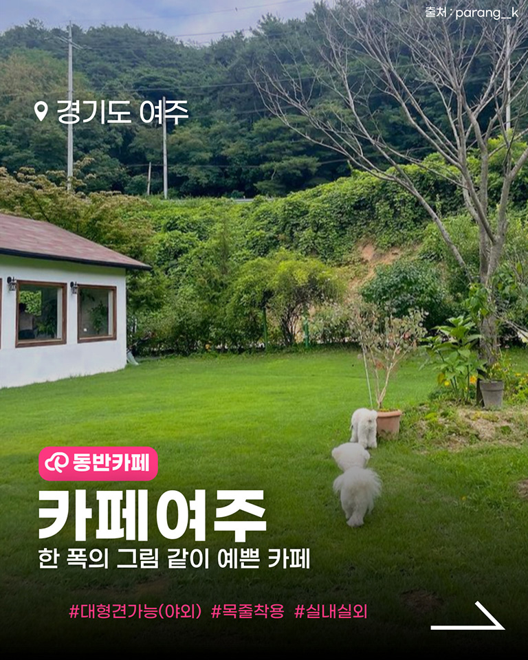 카페 여주