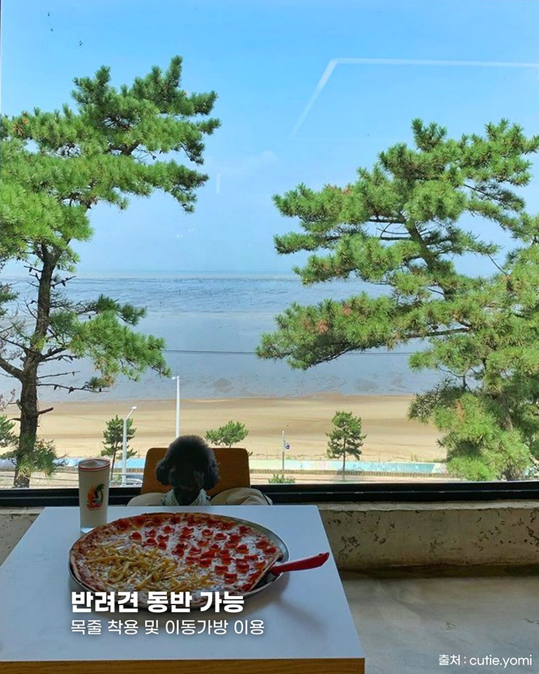 피자플리즈