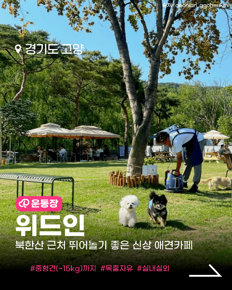 위드인