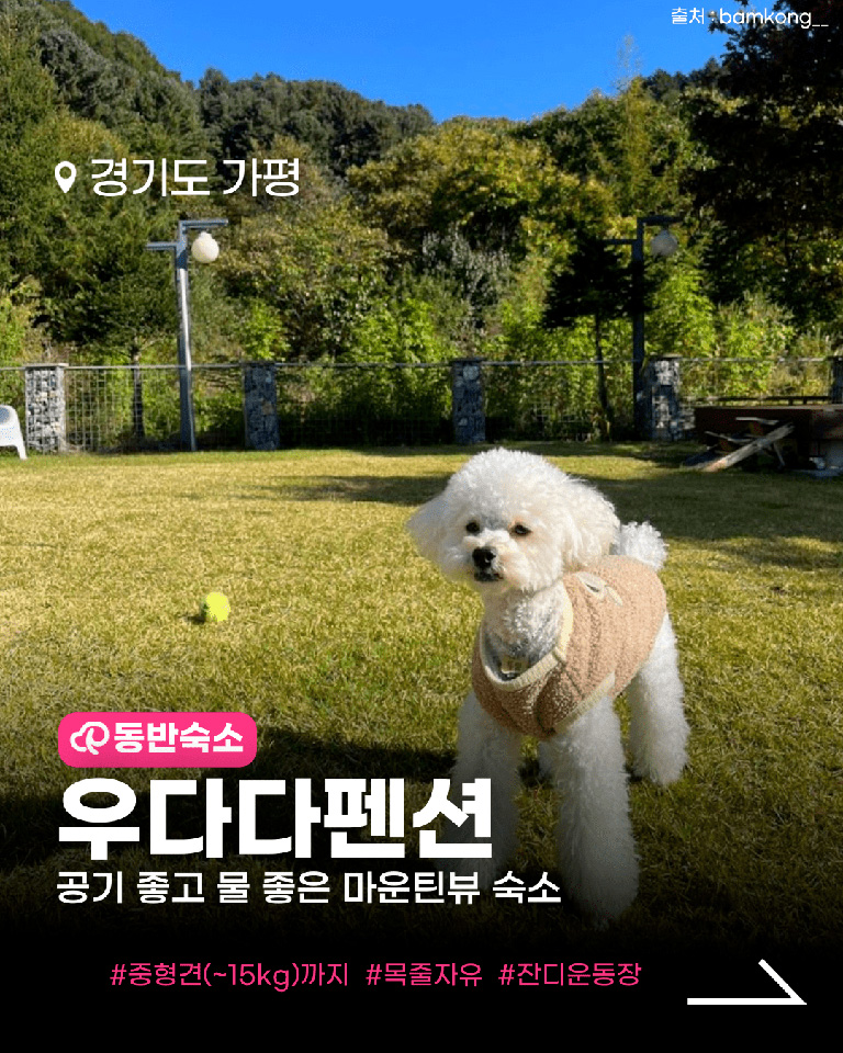 우다다