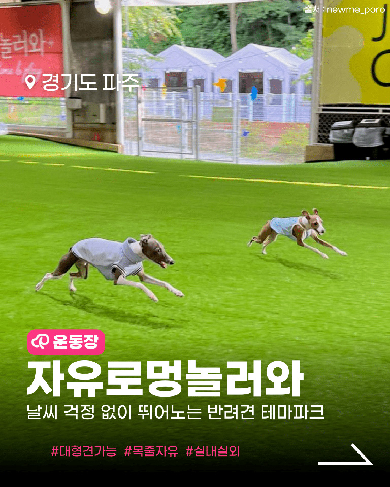 자유로멍놀러와 애견테마파크