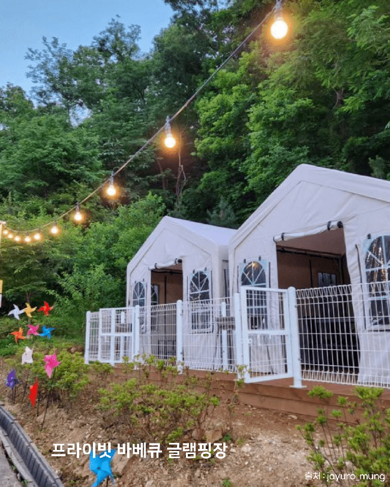 자유로멍놀러와 애견테마파크