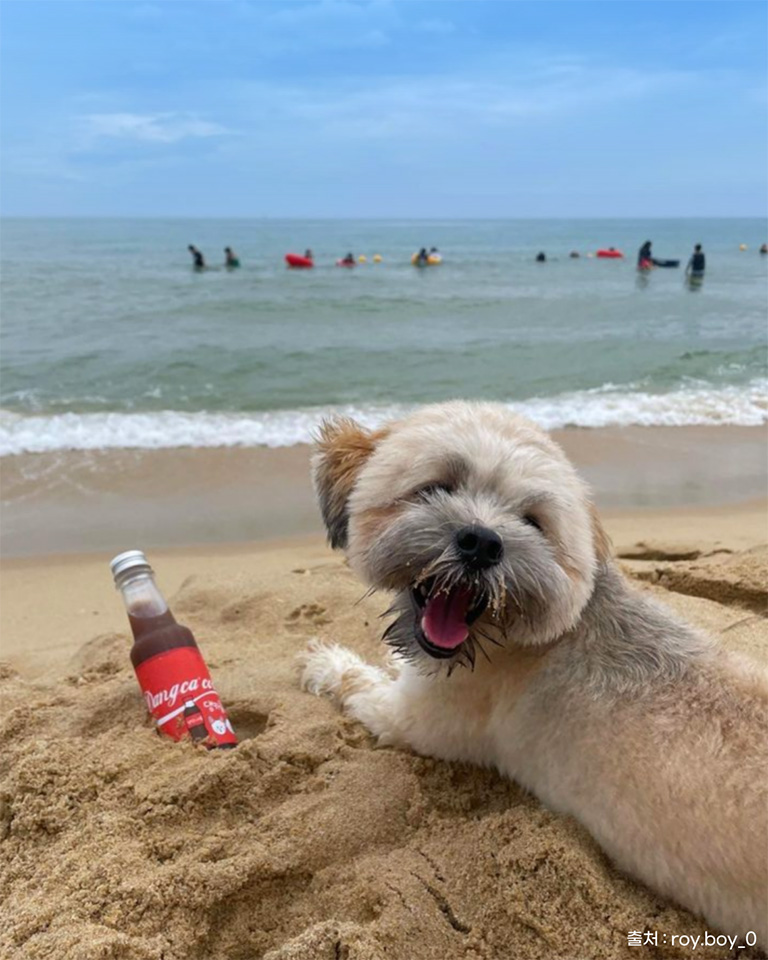 멍비치