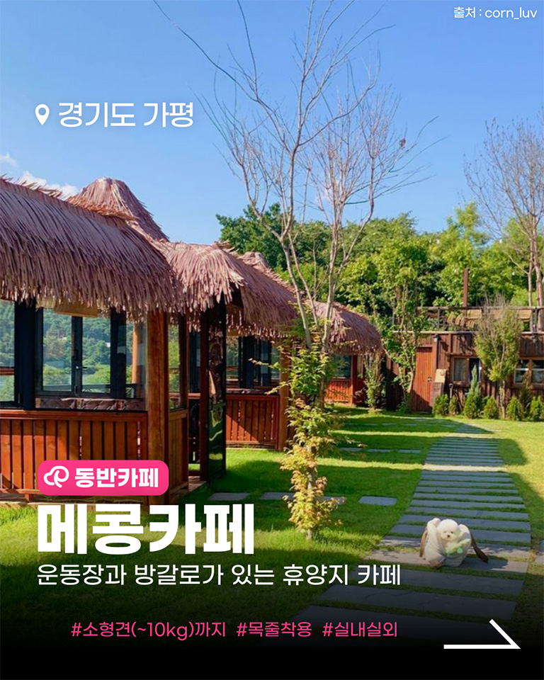 메콩카페