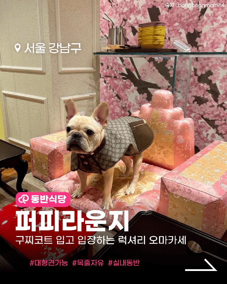 퍼피라운지