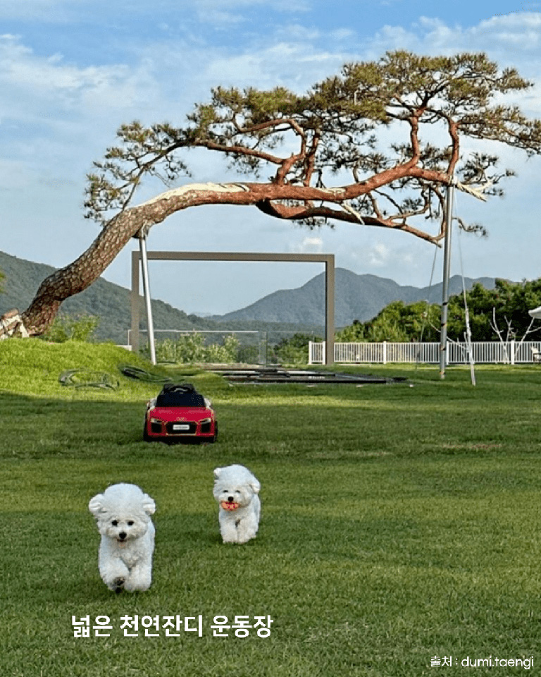 파인드업