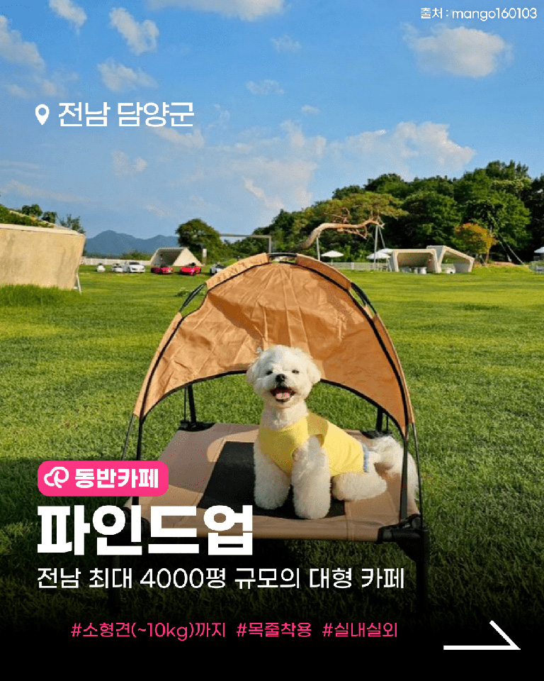 파인드업