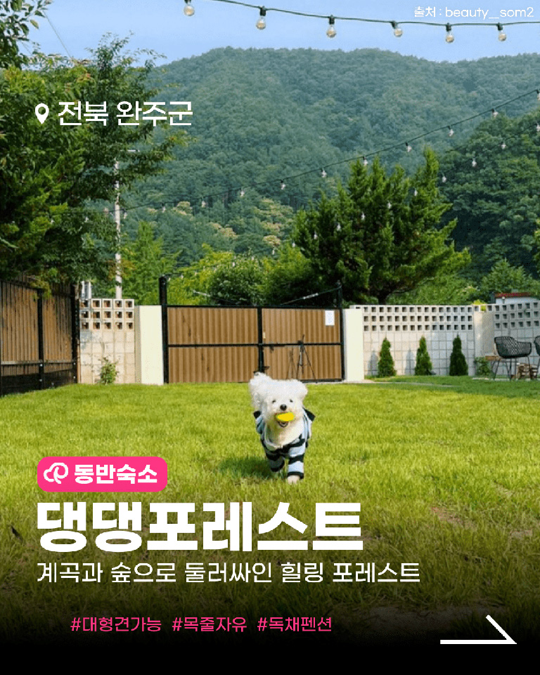 댕댕포레스트