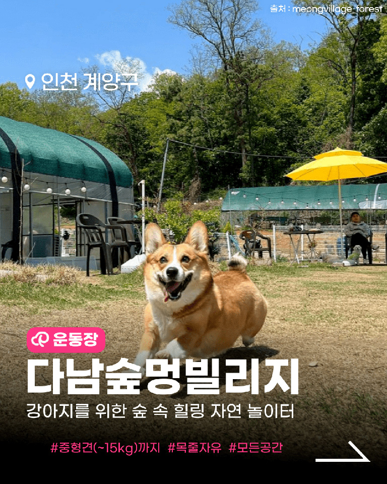 다남숲멍빌리지