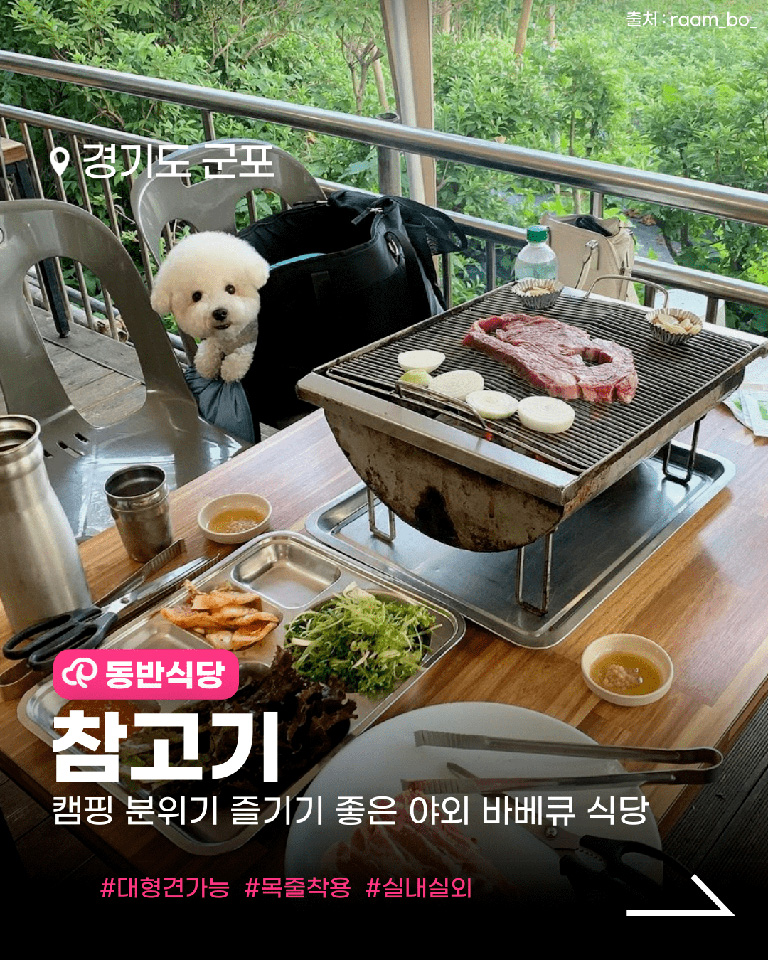 참고기