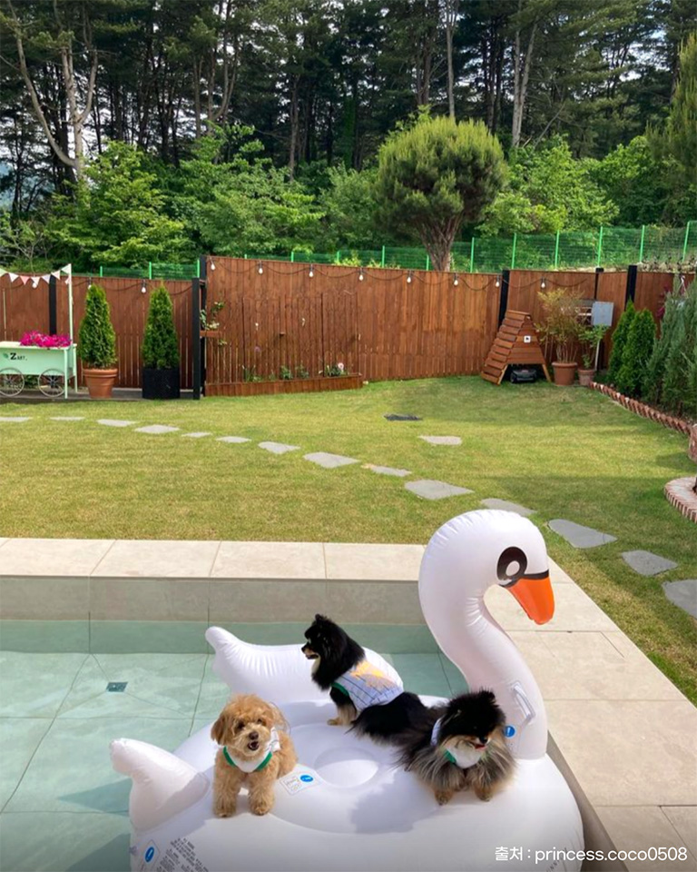 쟈트하우스