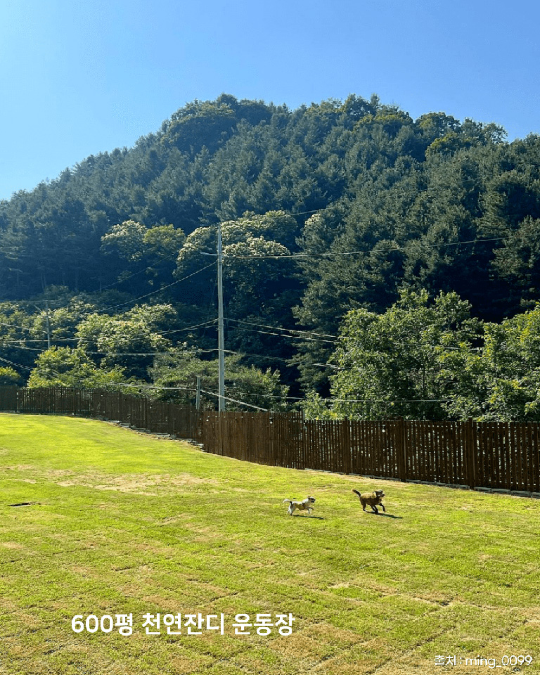 댕올라