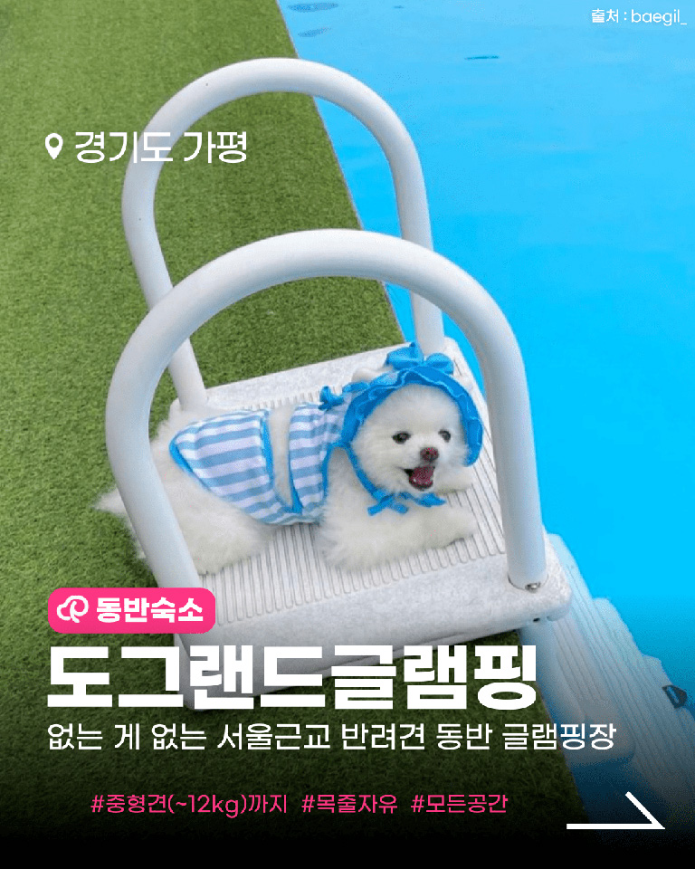도그랜드글램핑