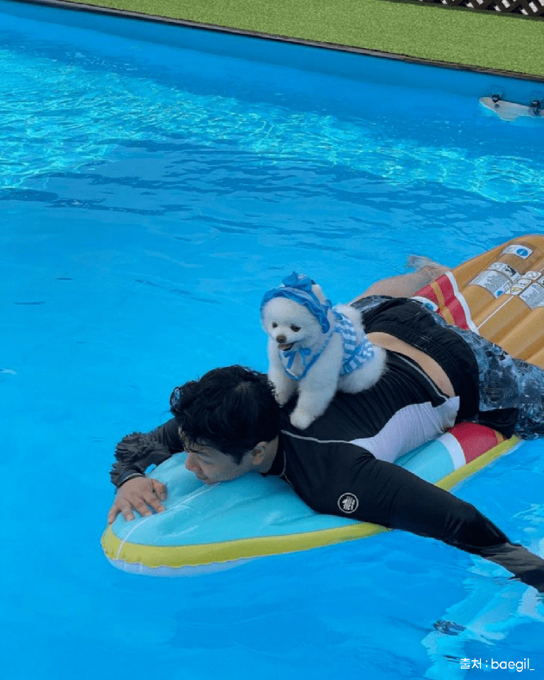 도그랜드글램핑