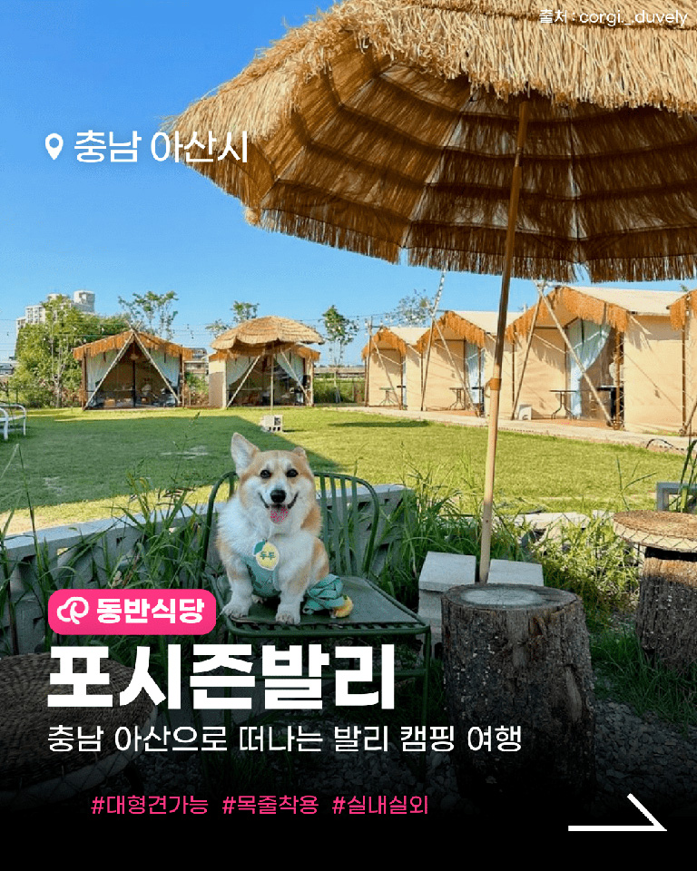 포시즌발리