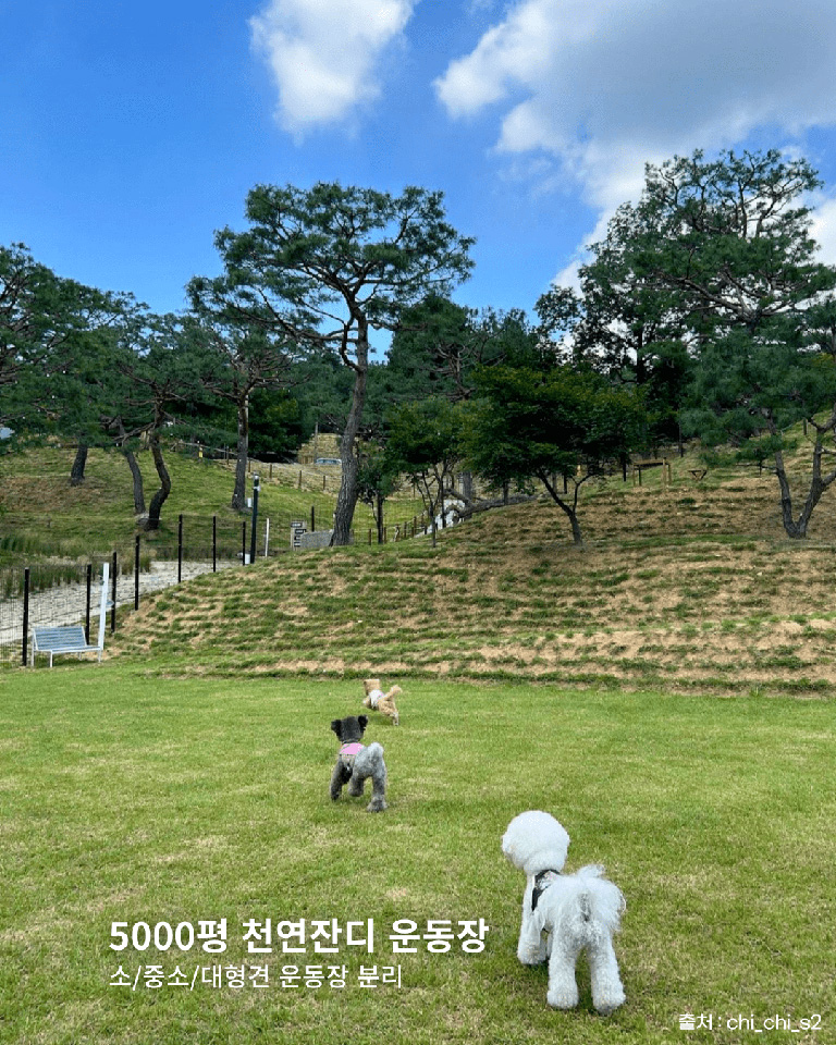 테일45