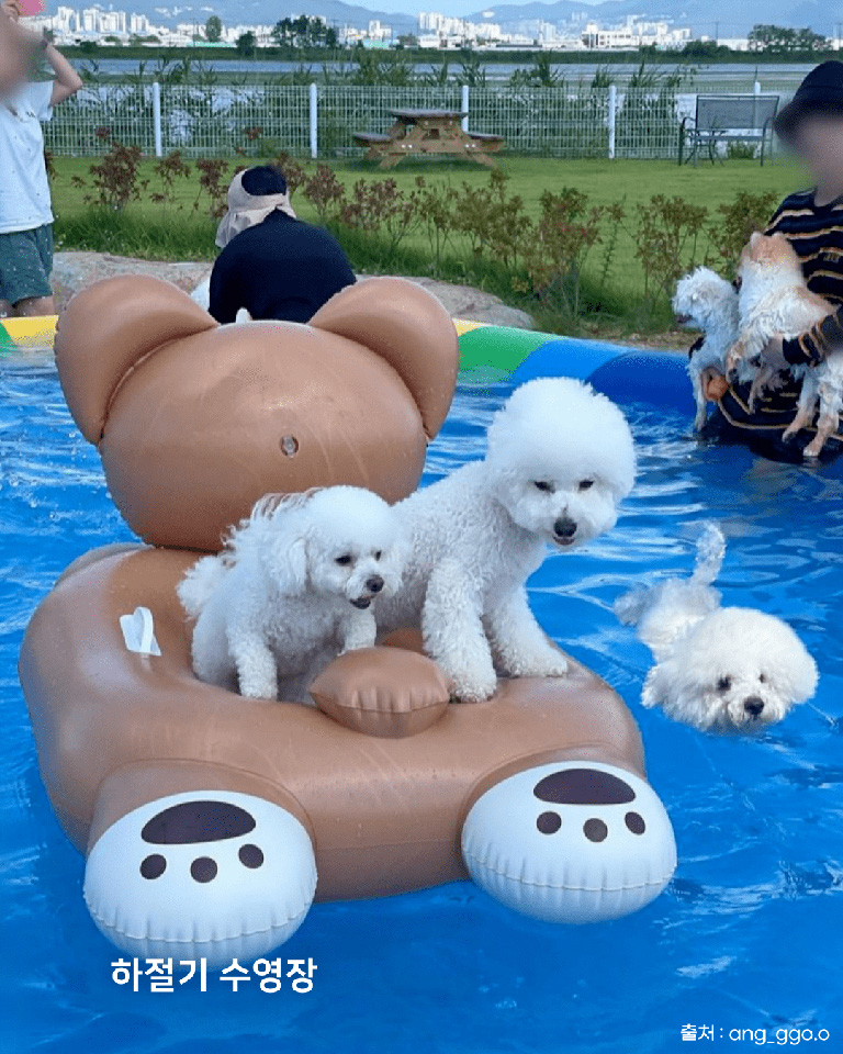 그랑독