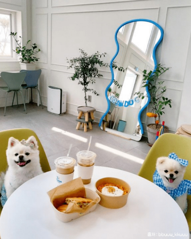 그랑독