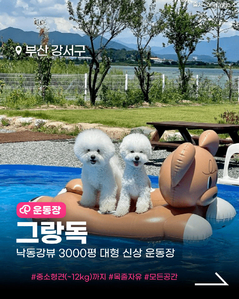 그랑독
