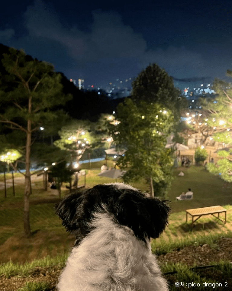 테일45