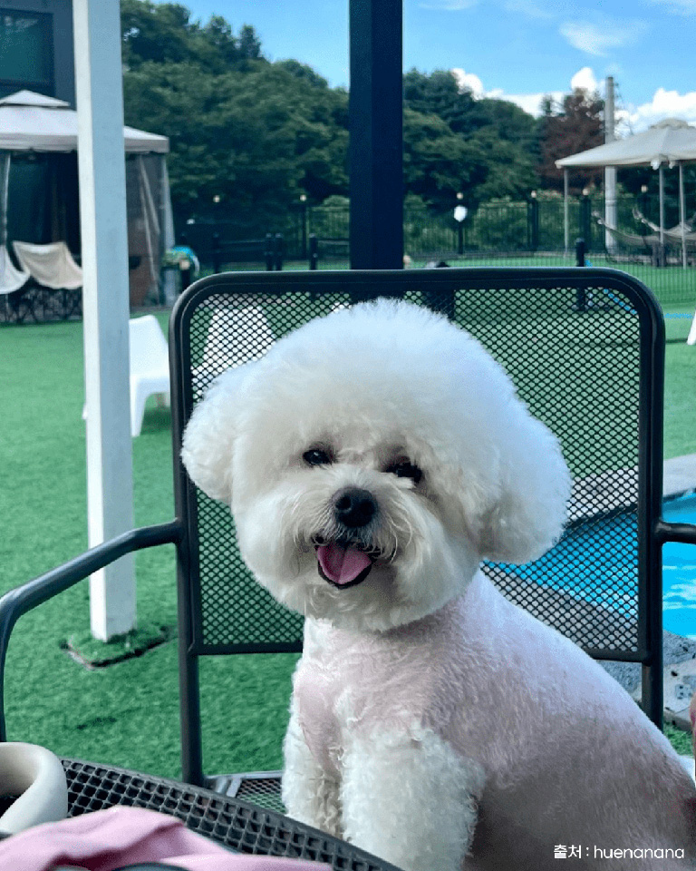 더히로플레이그라운드