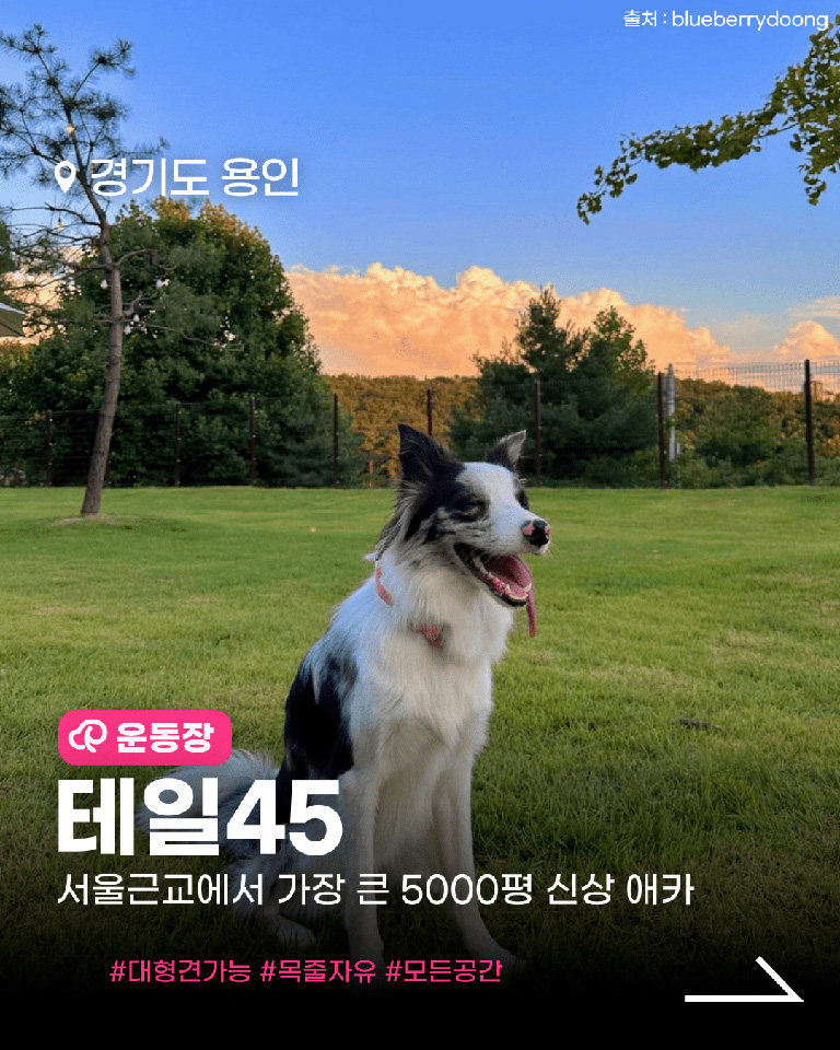테일45