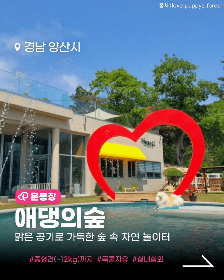 애댕의숲