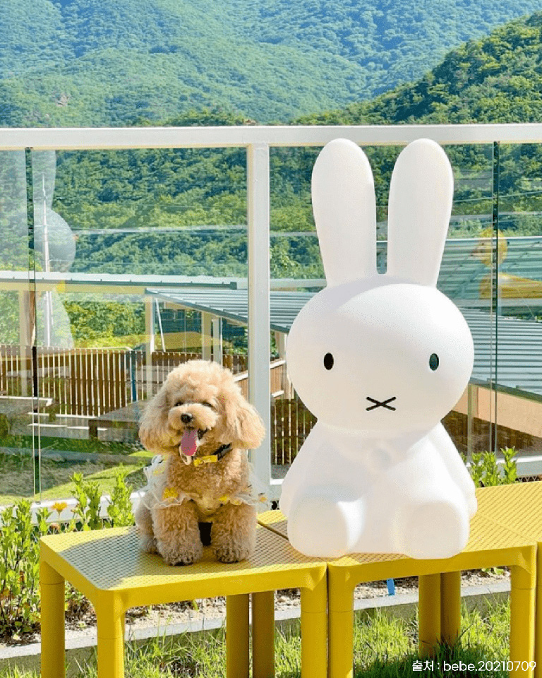 애댕의숲