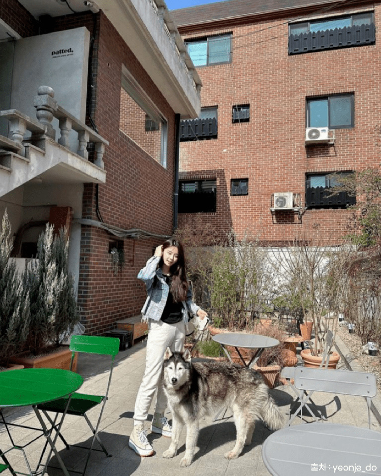 패티드