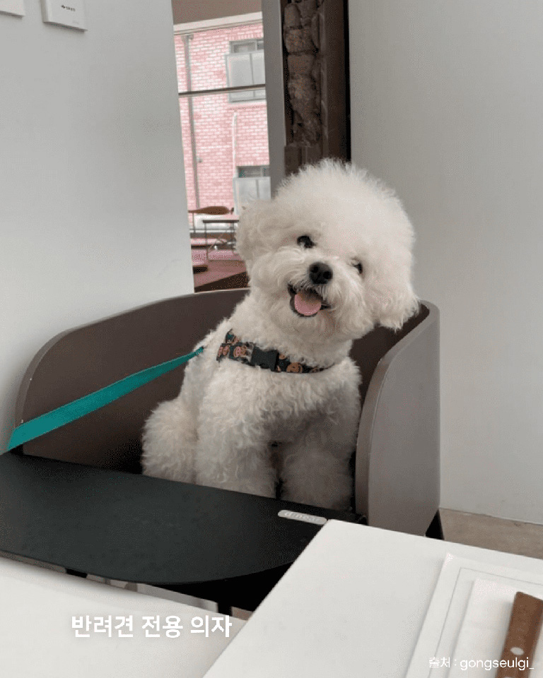 패티드